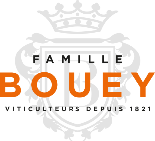 logo_maisonbouey_2020_500
